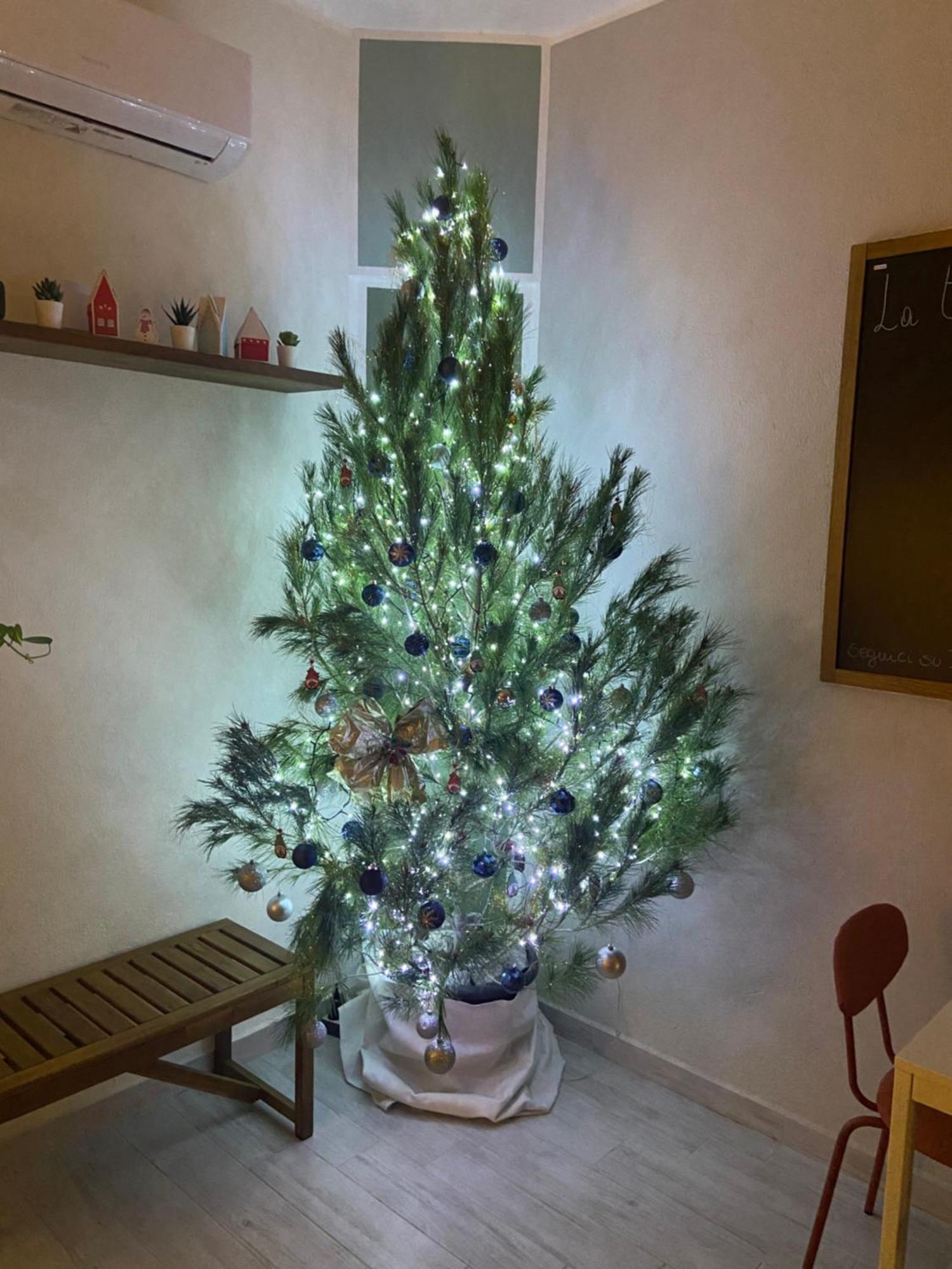 La Terrazza Nel Borgo Hotel Tortora Kültér fotó